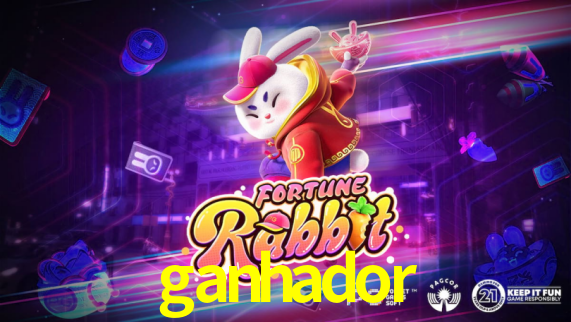 ganhador App Interface